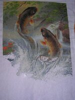 карпы-январь 2012.jpg