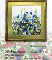 ромашки в поле.jpg