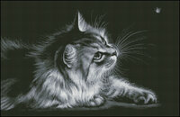 Кот с бабочкой от Ющук(PM,PDF).jpg