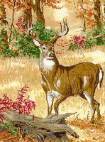 Арт.CX51116. Набор для вышивания Forest Deer (Лесной олень).jpg