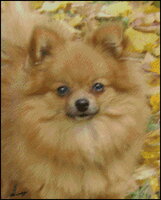 ТЯПОЧКА 170х210 51цв.jpg