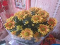 Изображение 339.jpg