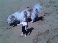 IMAG0178 [Разрешение рабочего стола].JPG