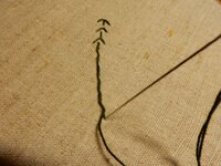 2014-05-18 16-51-18.jpg