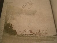 розы  11 04 17.jpg