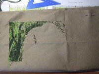 2 недели работе.jpg