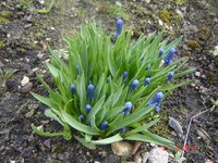 Изображение 006.jpg