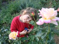 мини Глории Деи.jpg