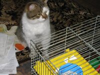 Изображение 665.jpg