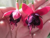 Изображение 1112.jpg