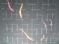 2013-12-17 21.17.58.jpg