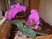 Изображение 024.jpg