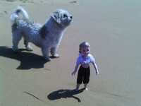 IMAG0184 [Разрешение рабочего стола].JPG