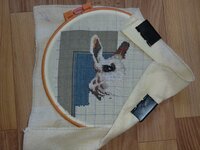 CIMG1127 (1024x768).jpg