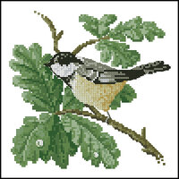 Heritage DMCT376 Coal Tit.jpg