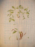 Апельсин 01.jpg