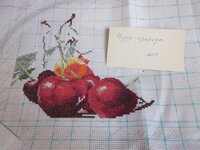 Изображение 1294.jpg