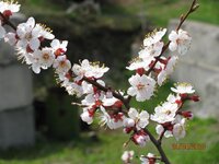 Изображение 027.jpg