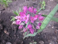 Изображение 2680.jpg