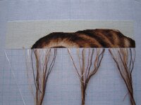 Кокер 8 фев.jpg