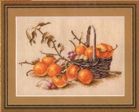 Хурма картинка.jpg