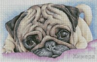 Химера_маленький толстячок.jpg