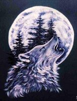 вой волка.jpg