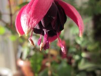 Изображение 929.jpg