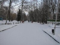 Парк, аллея.jpg