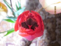 Изображение 2611.jpg