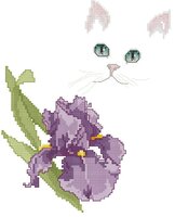 Серия Голубые глаза 2.jpg