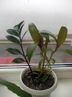 Изображение 287960.jpg