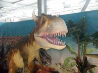 Изображение 008.jpg