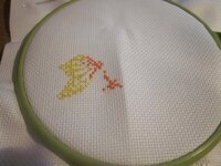 Изображение 2735.jpg