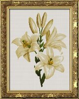 Nastunya26 White Garden Queen.jpg