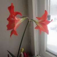 Изображение 32811.jpg