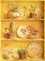 ecx51433 Первоцветы.jpg