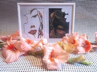 02_мак - день и ночь 01.jpg