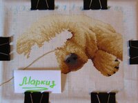 IMG_9239 копия.jpg