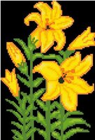 Желтые лилии.jpg