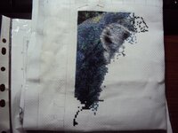 день пятый 1.jpg