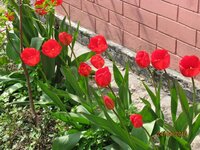 Изображение 026.jpg