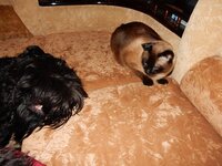 2015-09-23 07-09-04.jpg