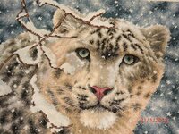 Энджи СЛеопард 13.jpg