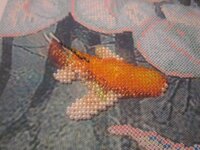 Изображение 577.jpg