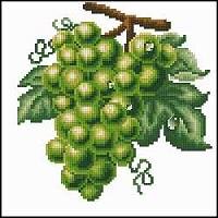 DOME-Vinograd zel.jpg