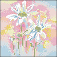 Derwentwater WCD Shasta Daisies.jpg