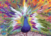 JCA - 02193 - Rainbow Peacock (чб.гр).jpg