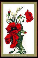 БР-009 Восторг.jpg