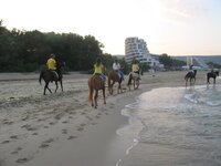 Изображение 079.jpg